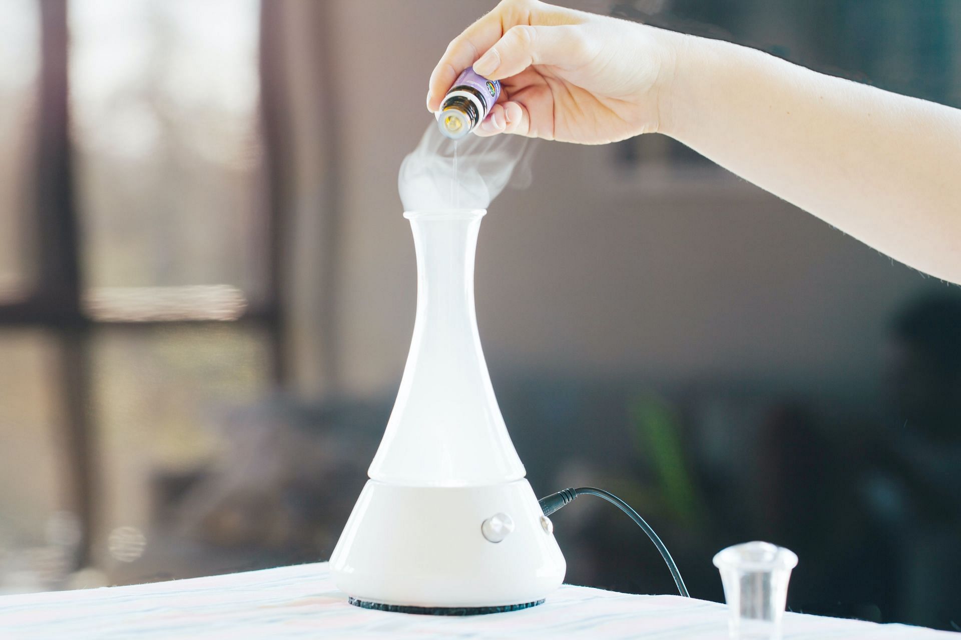 Promotes relaxation (Image via Unsplash/Drew I)